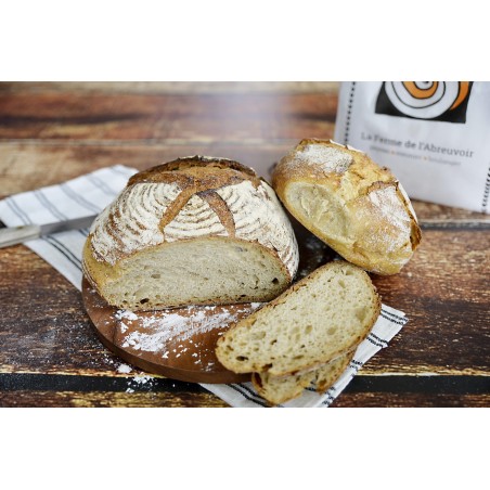 Pain Froment  Blanc Levain 500gr