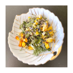 Tisane Sommeil - Dors, dors, Léonore