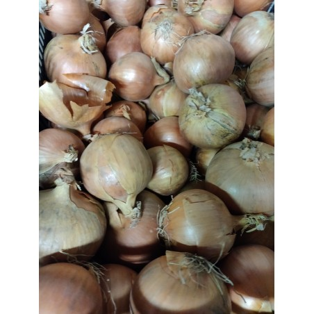 Oignons jaunes BIO de Roiveau