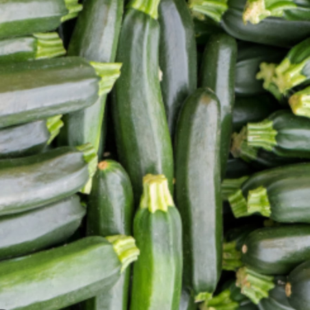 Courgettes BIO de Roiveau
