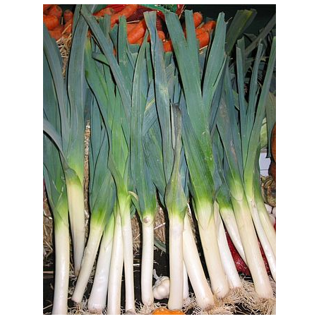 poireaux Bio de Roiveau