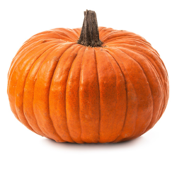 Potiron Bio de Roiveau