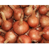 échalottes BIO de Roiveau