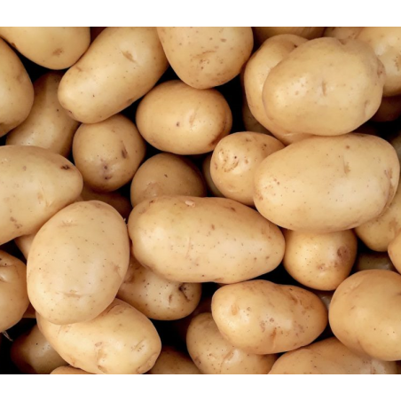 pomme de terre Bio de Roiveau