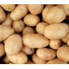 pomme de terre Bio de Roiveau