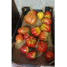 Tomates Bio  de Roiveau pour coulis