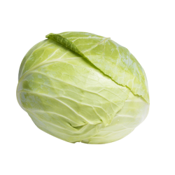 chou vert Bio de Roiveau