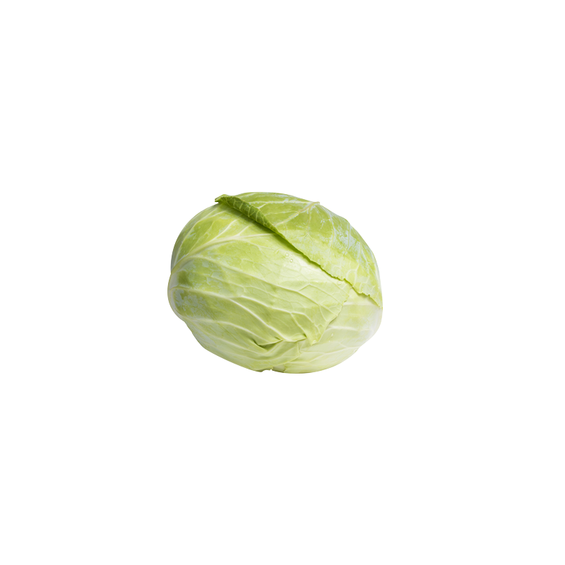 chou vert Bio de Roiveau