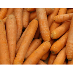 carottes rouges Bio de Roiveau
