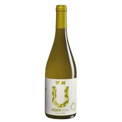 Wines of Earth / Vin blanc espagnol sec - Cuvée Guertana Sauvignon Blanc