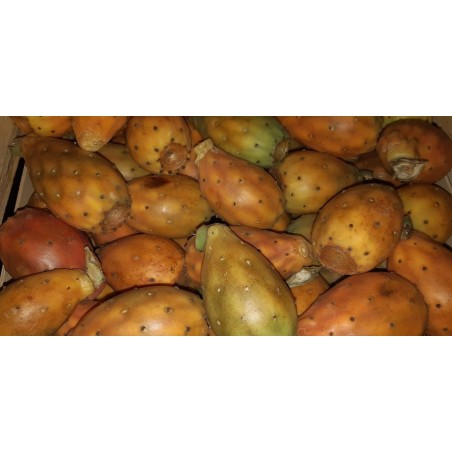 A La Main Verte/ Figues de Barbarie 500gr