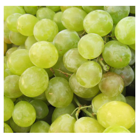 A La Main Verte/ raisin blanc 500gr