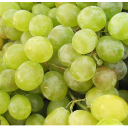 A La Main Verte/ raisin blanc 1kg