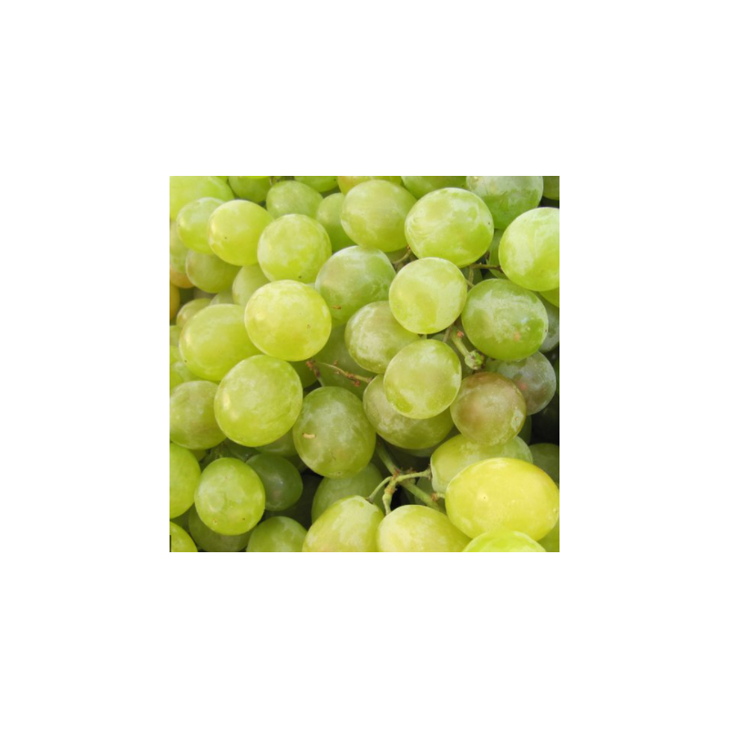 A La Main Verte/ raisin blanc 1kg