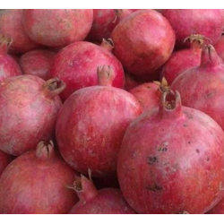 A La Main Verte/ grenade 500gr