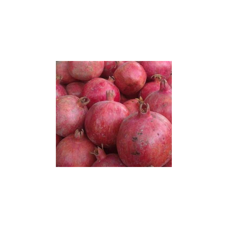 A La Main Verte/ grenade 1kg