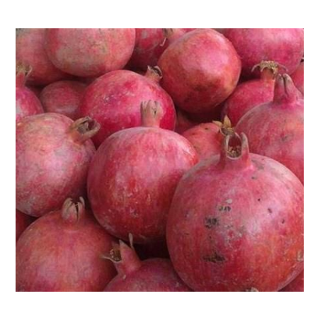 A La Main Verte/ grenade 1kg