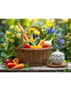 Légumes, fruits, fleurs, plantes sauvages et miel